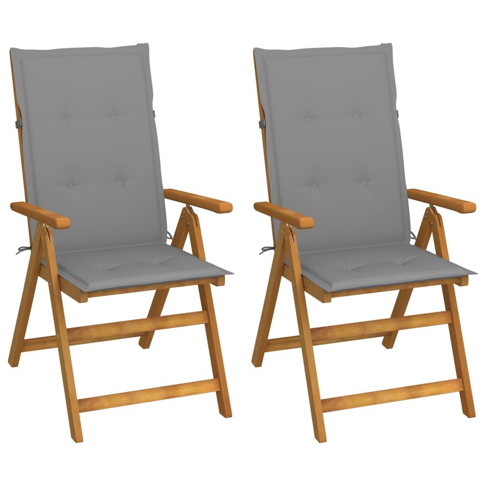 vidaXL Garden Chair Set of 2 Gray Solid Acacia Wood Standard Foldable