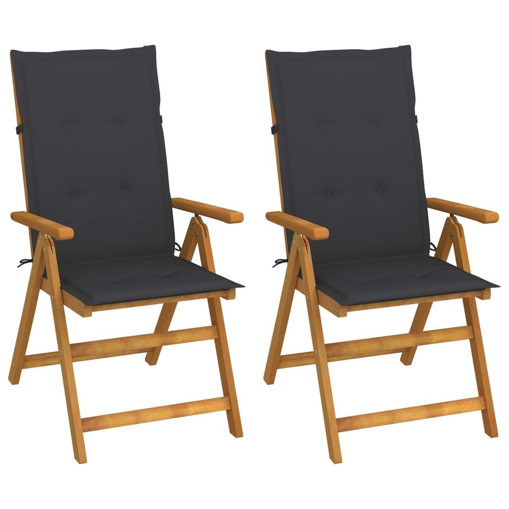 vidaXL Garden Chair Set of 2 Gray Cushion, Natural Wood