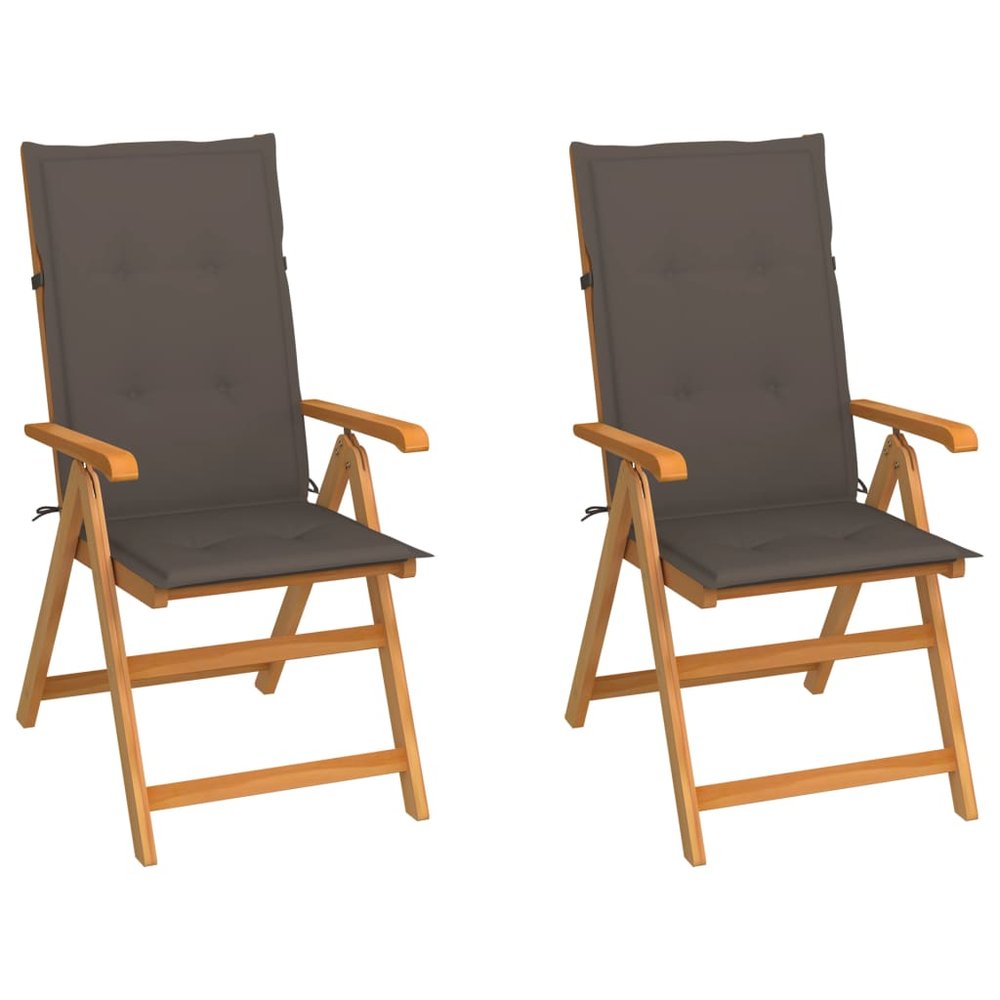 vidaXL Garden Chair Set of 2 Taupe, Natural Teak