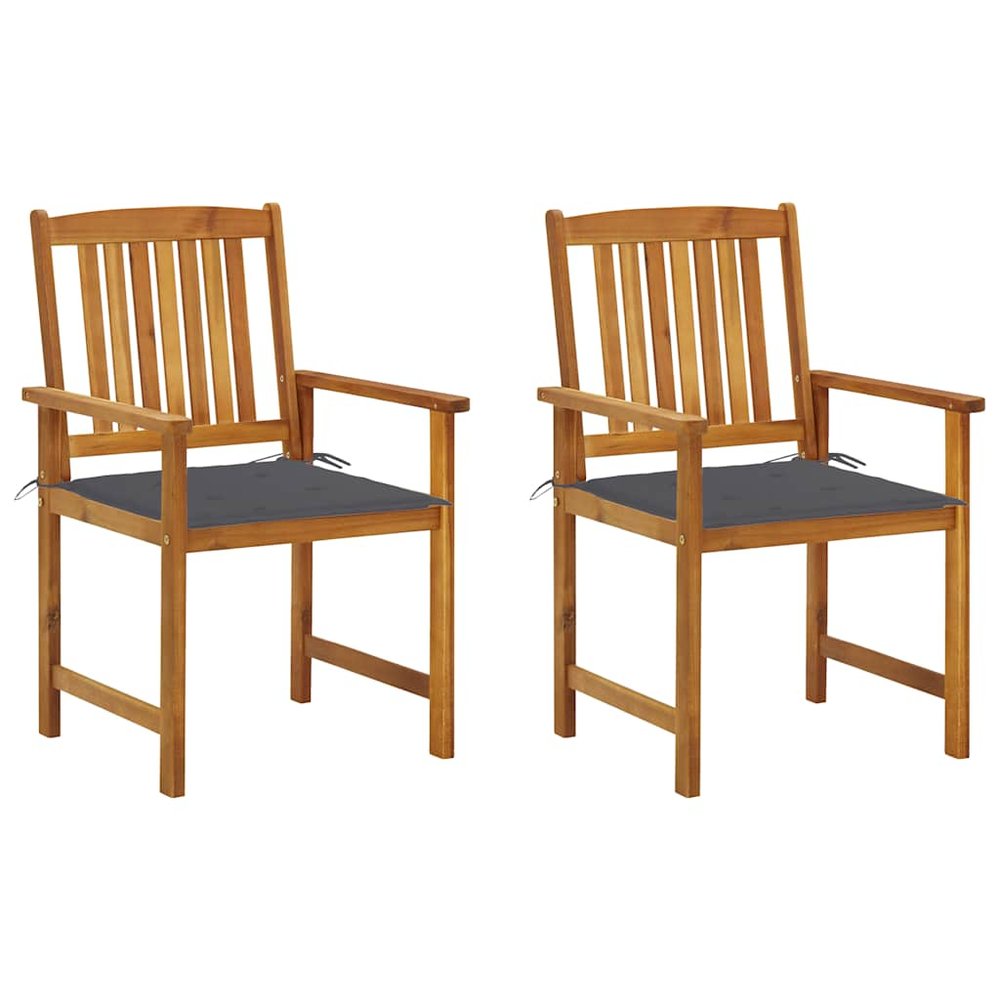 vidaXL Garden Chair Set of 2 Anthracite