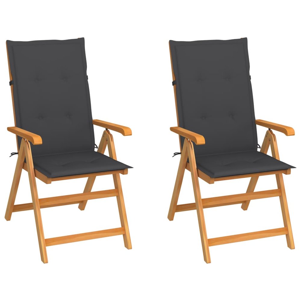 vidaXL Garden Chair Set of 2 Teak Wood Teak wood Medium Foldable